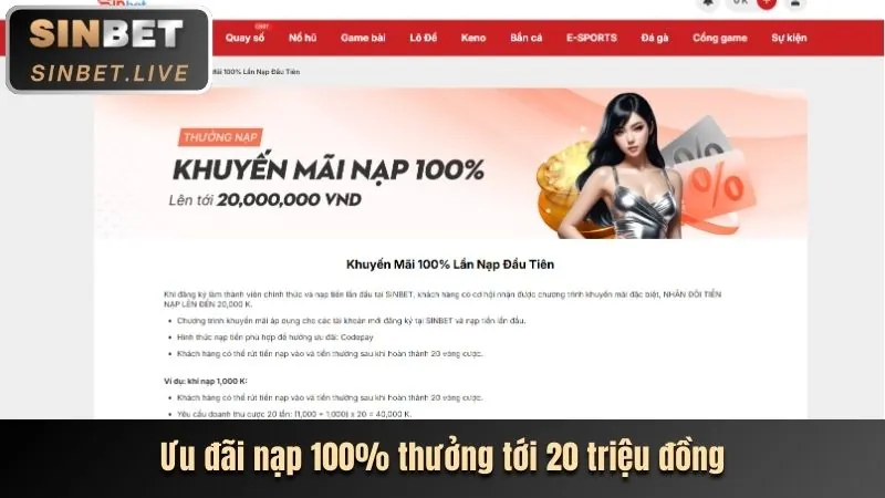Chương trình VIP độc quyền Betvisa Online